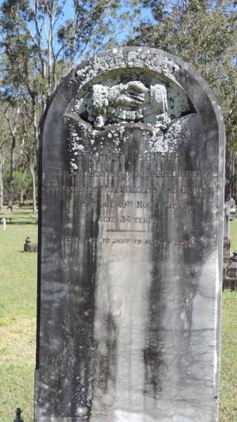 Stanley Arthur DAVIES  | d: 19 Nov 1918 aged 34  | husband of Hannah DAVIES  | father of Will, Thelma, Gladys  |   | Atherton Pioneer Cemetery (Samuel Dansie Park)  |   |   | 