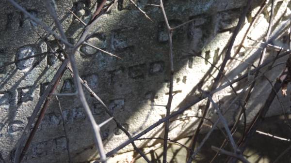 George DREWS  | d: 4 Dec 1895 aged 10  |   | Aubigny St Johns Lutheran cemetery, Toowoomba Region  |   | 