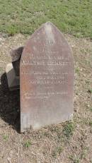 Walter BENNETT
d: 7 Feb 1889? aged 14
Banana Cemetery, Banana Shire
