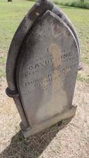 Catherine URQUHART
d: 22 April 1924 aged 8
eldest daughter of Duncan and Janet URQUHART
Banana Cemetery, Banana Shire