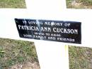 Patricia Ann CUCKSON,
20-9-41 - 4-8-93;
Beerwah Cemetery, City of Caloundra