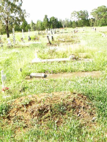Bell cemetery, Wambo Shire  | 