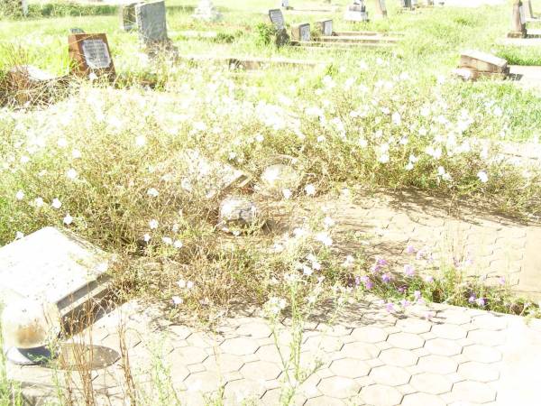 Bell cemetery, Wambo Shire  | 