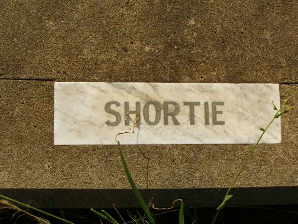 Glen Ashley (Shortie) WILLIAMS,  | died 24 Dec 1983 aged 19 years;  | Bell cemetery, Wambo Shire  | 