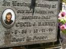 Cecil J. BARNEY,
father son brother uncle,
25-5-58 - 15-11-95;
Blackbutt-Benarkin cemetery, South Burnett Region