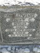 Janet C. MUIR,
died 18 Oct 1912 aged 62 years;
James MUIR,
died 24 Feb 1955 aged 85 years;
Blackbutt-Benarkin cemetery, South Burnett Region