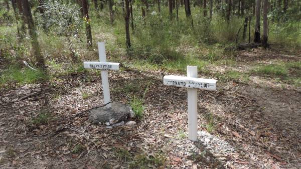 Ralph TAYLOR  | b: 1873  | d: 1874  |   | Bernard TAYLOR  | b: 1883  | d: 1883, aged 7 months  | Bunya cemetery, Pine Rivers  | 