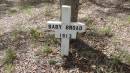 
Baby Broad
d: 1913
Bunya cemetery, Pine Rivers

