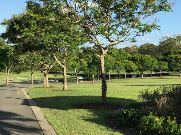 Centenary Memorial Gardens  |   |   | 