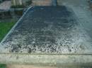 Ellen SHEEHAN
wife of William SHEEHAN
died ...mber? 12th 1865,
...brother of the above
died ... 1 day,
Jane daughter of the above
died May .. 1866? aged 11 days,
William SHEEHAN
aged 68 years
Christ Church (Anglican), Milton, Brisbane