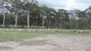 Cooloola Coast Cemetery