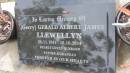 (Gerry) Gerald Albert James LLEWELLYN
b: 22 Nov 1941
d: 10 Oct 2014
Cooloola Coast Cemetery