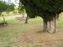 
Coulson General Cemetery, Scenic Rim Region
