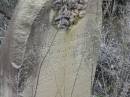 
Rebecca Louisa,
daughter of W. & L.C. WILLIAMS,
died 18 Jan 1902 aged 13 years;
Coulson General Cemetery, Scenic Rim Region
