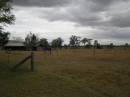 Cressbrook Homestead, Somerset Region