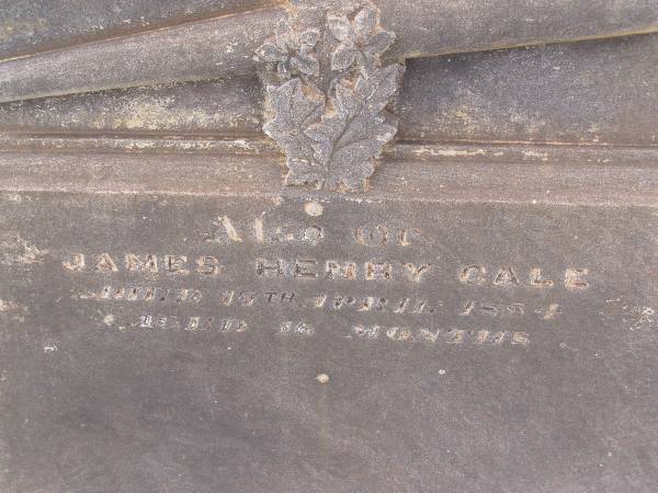 Grave of Mary COSTELLO,  | Frances Mary GALE,  | & James Henry GALE,  | Old Dubbo cemetery,  | New South Wales  | 