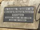 Wilhelm Herman August STUMER,
died 18-10-1910 aged 33 years;
Dugandan Trinity Lutheran cemetery, Boonah Shire