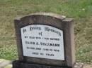 Eileen A. STALLMAN,
wife mother,
died 10 June 1976 aged 63 years;
Dugandan Trinity Lutheran cemetery, Boonah Shire