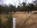 
Emu Bay Historic Cemetery
