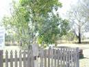 Forest Hill Cemetery, Laidley Shire