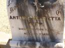Antonia Henrietta KATH,
died 13 June 1926 aged 93 years;
Glencoe Bethlehem Lutheran cemetery, Rosalie Shire