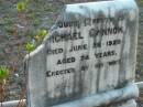 Michael CANNON,
died 28 June 1920 aged 74 years,
erected by wife;
Grandchester Cemetery, Ipswich