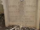 Mary Agnes MCDONNELL,
native of Kings County Ireland,
died 7 July 1899 aged 74 years;
Greenmount cemetery, Cambooya Shire