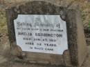 Amelia BEBBINGTON,
wife mother,
died 27 Jan 1903 aged 42 years;
Greenmount cemetery, Cambooya Shire
