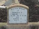 Agnes DAVIS,
died 11 Dec 1923 aged 59 years 9 months;
D.B. DAVIS,
killed in action France 29 Aug 1918;
Greenmount cemetery, Cambooya Shire