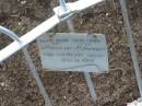 Joseph BURTON,
died 14 Aug 1917 aged 86 years;
Sarah BURTON,
died 11 Sept 1929 aged 90 years;
Greenmount cemetery, Cambooya Shire