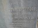 F. Wilhelm JANETZKI,
father,
died 11 Sept 1929 aged 37? years 11 months;
Greenwood St Pauls Lutheran cemetery, Rosalie Shire