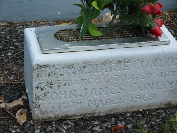 Tammy Marie CONLON  | 21 Mar 1970  | aged 5 mths  |   | John James CONLON  | 17 Mar 1969  |   | St Matthew's (Anglican) Grovely, Brisbane  | 