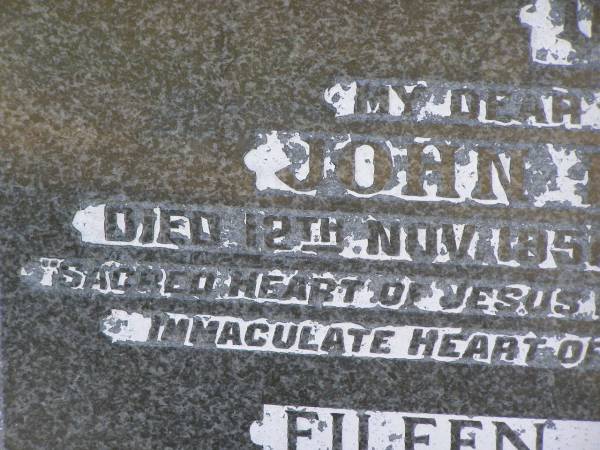 John DWYER  | d: 12 Nov 1951, aged 68  | Eileen DWYER  | d: 1 Dec 1985, aged 84  | Harrisville Cemetery - Scenic Rim Regional Council  |   | 