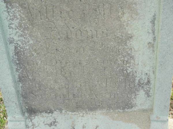 William Donald ADAMS  | d: 16 Feb 1895, aged 1 year 9 months  | Lillian Moy ADAMS  | d: 16 Feb 1895, aged 3 years, 3 months  | accidentally drowned  | Harrisville Cemetery - Scenic Rim Regional CouncilWilliam Donald ADAMS  | d: 16 Feb 1895, aged 1 year 9 months  | Lillian May ADAMS  | d: 16 Feb 1895, aged 3 years, 3 months  | accidentally drowned  | Harrisville Cemetery - Scenic Rim Regional Council  | 