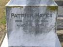 
Ellen HAYES
d 3 Jul 1917, aged 75
Patrick HAYES
d: 2 Jan 1933, aged 95
Ellen C HAYES
d: 18 Dec 1928, aged 49
John Patrick HAYES
d: 29 May 1951, aged 71
(uncle) Henry Joseph HAYES
d: 23 Aug 1942, aged 68
Harrisville Cemetery - Scenic Rim Regional Council

