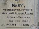 
William ADAMS c.l.
B: Dalkeith, Scotland
d: 7 Nov 1893, aged 70
(wife) Allison Dickson (ADAMS)
d: 24 Jan 1898, aged 74

John Alexander ADAMS
d: 16 Dec 1893, aged 32

Mary
(youngest daughter of William and Alison ADAMS)
d: at Childers, 28 Nov 1900, aged 33

Isiah TITMARSH
d: 30 Aug 1880, aged 40

Harrisville Cemetery - Scenic Rim Regional Council
