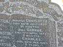 
Eliza JOHNSTON
d: Jan 1871, aged 66
Charles JOHNSTON
d: 7 Jan 1909, aged 64
(wife) Martha (JOHNSTON)
d: 23 Aug 1943, aged 89
(dau) Charlotte (JOHNSTON)
d: 26 Jul 1873, aged 20 months
(son) George (JOHNSTON)
d: 13 Apr 1883, aged 11 months
(son) Charles (JOHNSTON)
d: 20 Feb 1887, aged 9 years
(son) Andrew (JOHNSTONE)
d: 15 Mar 1887, aged 7 months

Harrisville Cemetery - Scenic Rim Regional Council
