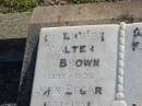 
Walter BROWN
1857 - 1936
Elizabeth BROWN
1853 - 1943
John Edgar
1889 - 1939

Harrisville Cemetery - Scenic Rim Regional Council
