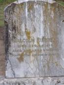 
Malcolm RUSSELL
d: 20 Dec 1911, aged 3 years 9 months

Harrisville Cemetery - Scenic Rim Regional Council
