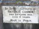 
Charles J. GUNNE (Joe),
died 23 July 1917 aged 25 years;
Catherine GUNNE,
died 21 April 1928 aged 66 years;
Charles GUNNE,
died 3 Jan 1936 aged 72 years;
Patrick CRONIN (Paddie),
died 29 June 1933 aged 4 years;
Catherine CRONIN (Katie),
died 11 Nov 1932 aged 37 years;
Helidon Catholic cemetery, Gatton Shire

