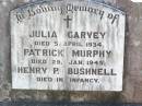 
Julia GARVEY,
died 5 April 1934;
Patrick MURPHY,
died 29 Jan 1945;
Henry P. BUSHNELL,
died in infancy;
Helidon Catholic cemetery, Gatton Shire
