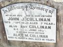 
John J. CULLINAN, husband father,
died 3 Sept 1956 aged 57 years;
baby CULLINAN,
died 24 June 1957;
Alice M. CULLINAN,
died 16 March 1985 aged 81 years;
Helidon Catholic cemetery, Gatton Shire
