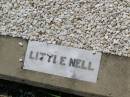 Janelle (Nell) R. HEDGES,
daughter sister,
died 4 May 1957 aged 3 years;
Helidon General cemetery, Gatton Shire