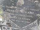 Herbert A. KAMP,
husband father,
died 17 Feb 1932 aged 32 years;
Helidon General cemetery, Gatton Shire
