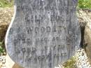 Lily Rose WOODLEY,
daughter,
died 26 Dec 1923 aged 12 years;
Helidon General cemetery, Gatton Shire