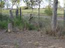 Helidon General cemetery, Gatton Shire