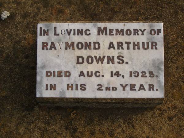 Annie,  | wife of Wm [William] LYONS,  | mother,  | died 5 July 1914;  | William LYONS,  | father,  | died 14 Sept 1936;  | Raymond Arthur DOWNS,  | died 14 Aug 1925 in 2nd year;  | Highfields Baptist cemetery, Crows Nest Shire  | 