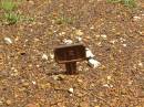 Howard cemetery, City of Hervey Bay
