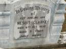 Nesbit CLARKE,
son,
died 6 Oct 1932 aged 3 years;
Howard cemetery, City of Hervey Bay