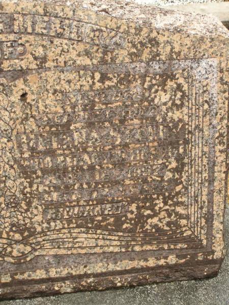 Abel STELEY,  | husband father,  | died 3 Oct 1950 aged 71 years;  | Helena STELEY,  | mother?,  | died 16 Aug 1952 aged 72 years;  | Howard cemetery, City of Hervey Bay  | 